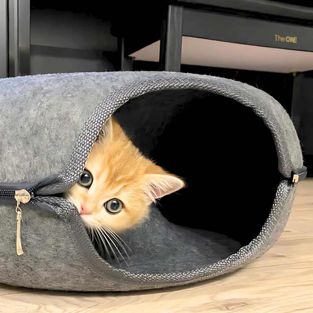 CatCave Delux - Cama túnel para gatos